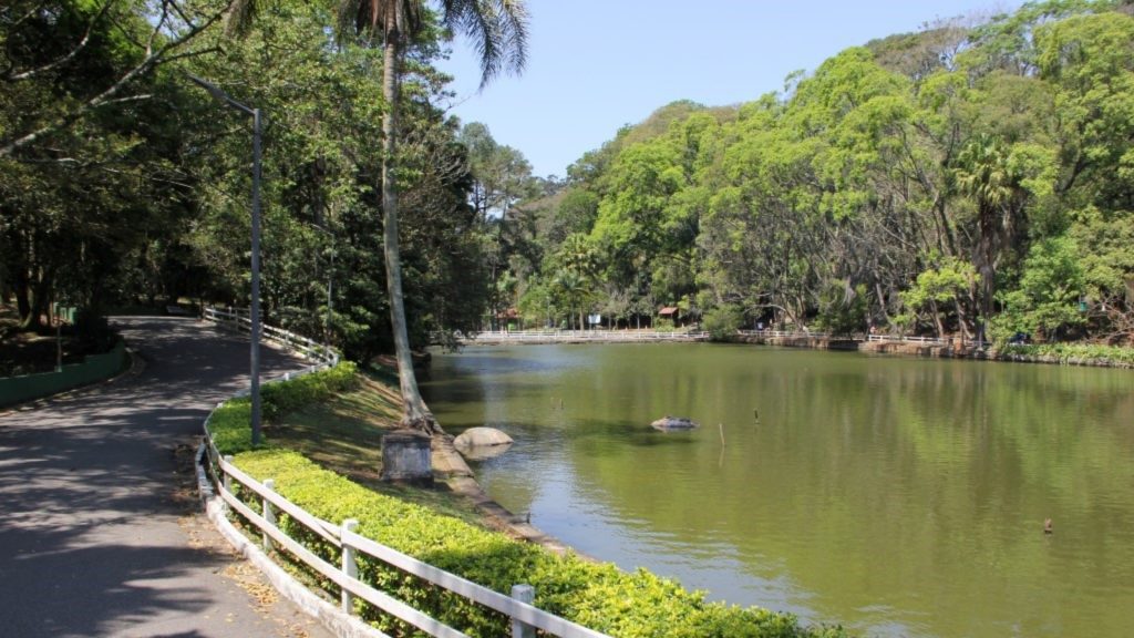 Desentupidora no horto florestal