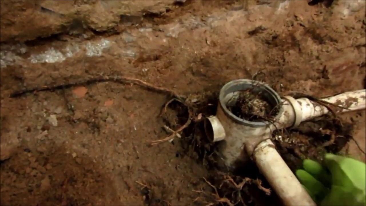 Raiz em Tubulação de Esgoto Problema destrutivo